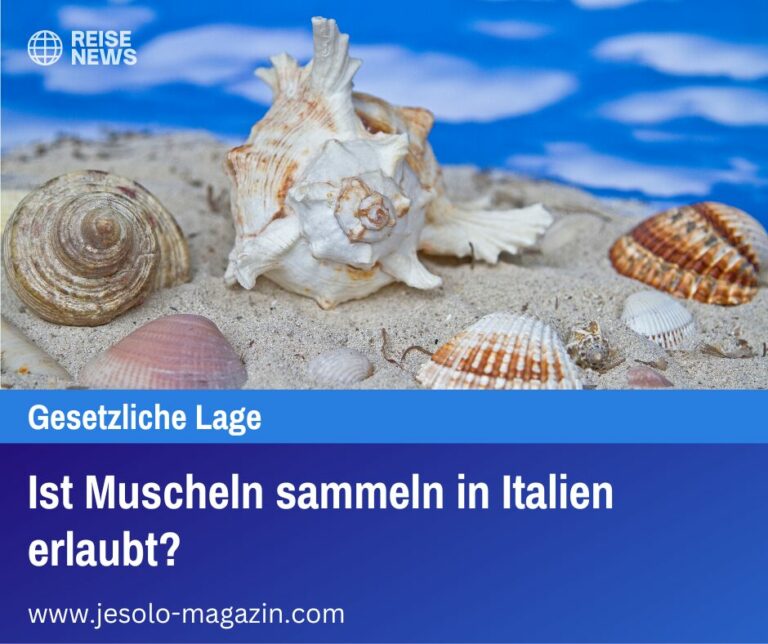 Ist Muscheln sammeln in Italien erlaubt